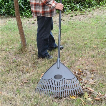 Qish mavsumida Vinkaga qanday g'amxo'rlik qilamiz?