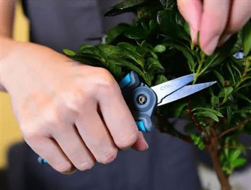 Nima uchun biz yangi va kattaroq qaychini ishga tushirdik