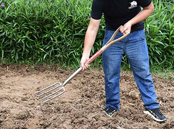 Rossiya bog 'madaniyati haqida qisqacha ma'lumot