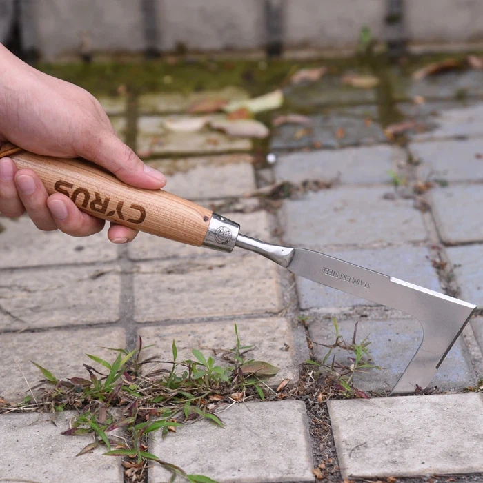 Bog'da o'tlarni tozalash zanglamaydigan qo'lda o't o'tkazgich bilan osonlasht...