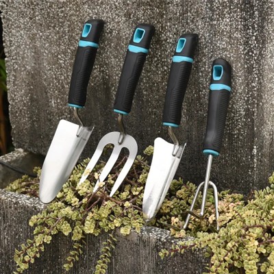 Chiroyli gullar bilan makoningizni kengaytiring