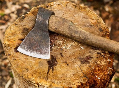 Daraxt kesish asboblari va xavfsizlik vositalari