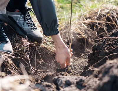 Ildiz orqali qazish uchun o'ynoqi qadamlar