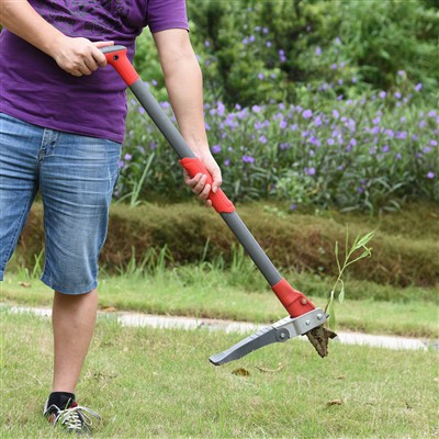 O'tmishdagi o'tlar uchun o'ting