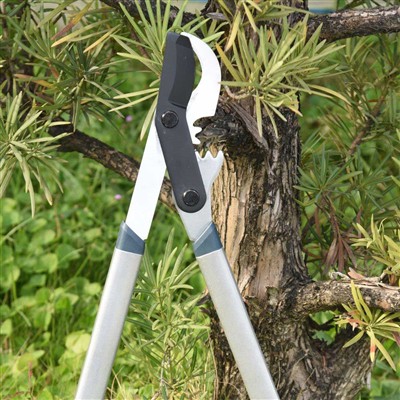 Eng yaxshi asbob Azizillo novdalari - aylanib o'tuvchi pichoqlar