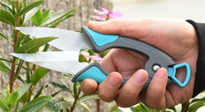 Secateurs va Budayıcılar