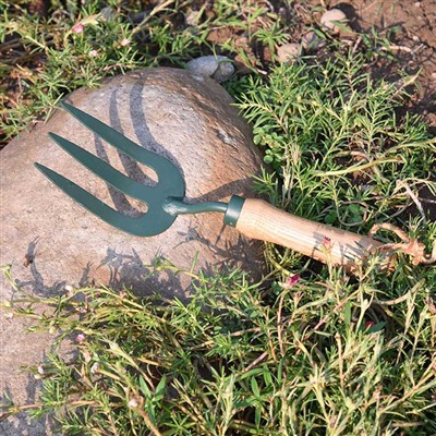 Bog 'asboblarining kundalik sarguzashtlari