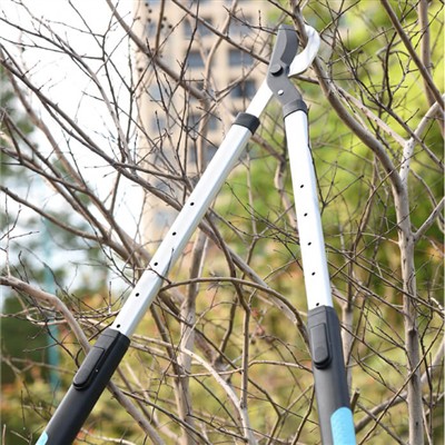 Band bo'lgan shaxslar uchun bog'dorchilik: cheklangan vaqt bilan bog'ingizga ...