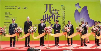 Rhino 25-Hortiflorexpo IPM Shanxayda