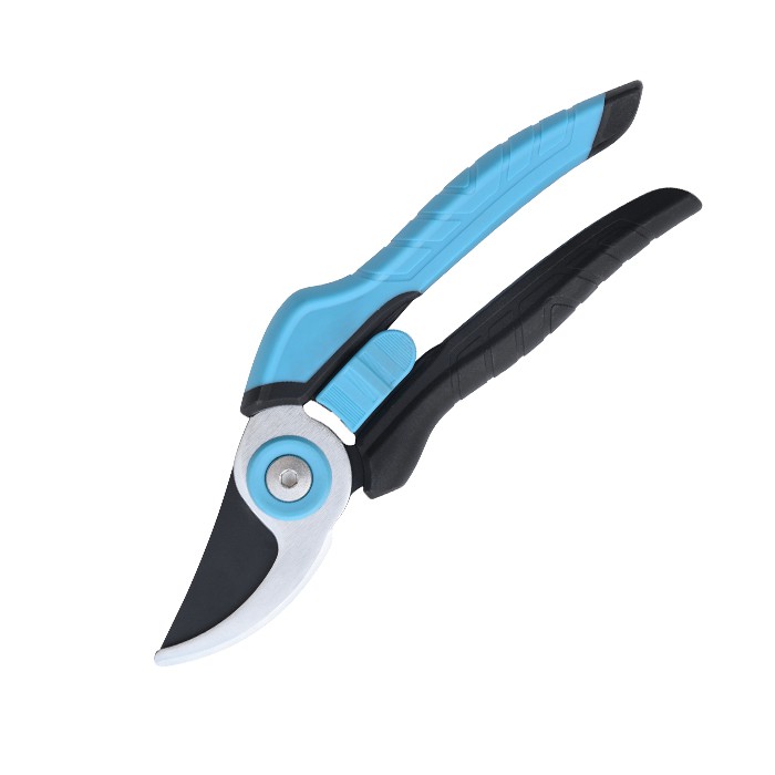 Meva daraxti Azizillo qaychi qaychi