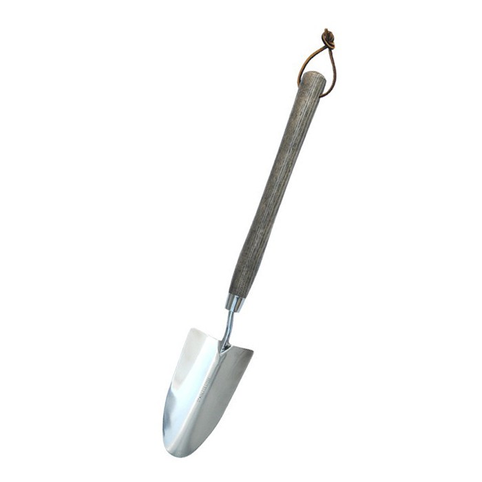 Uzun tutqichli bog 'molchasi