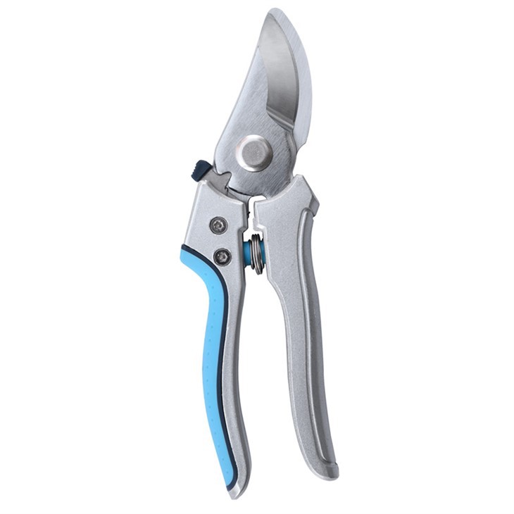 Yuqori sifatli qichishish