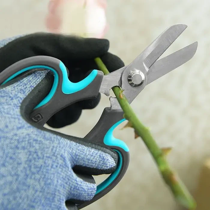 Azizillo qaychi va atirgullar mukammal o'yin bo'ladi