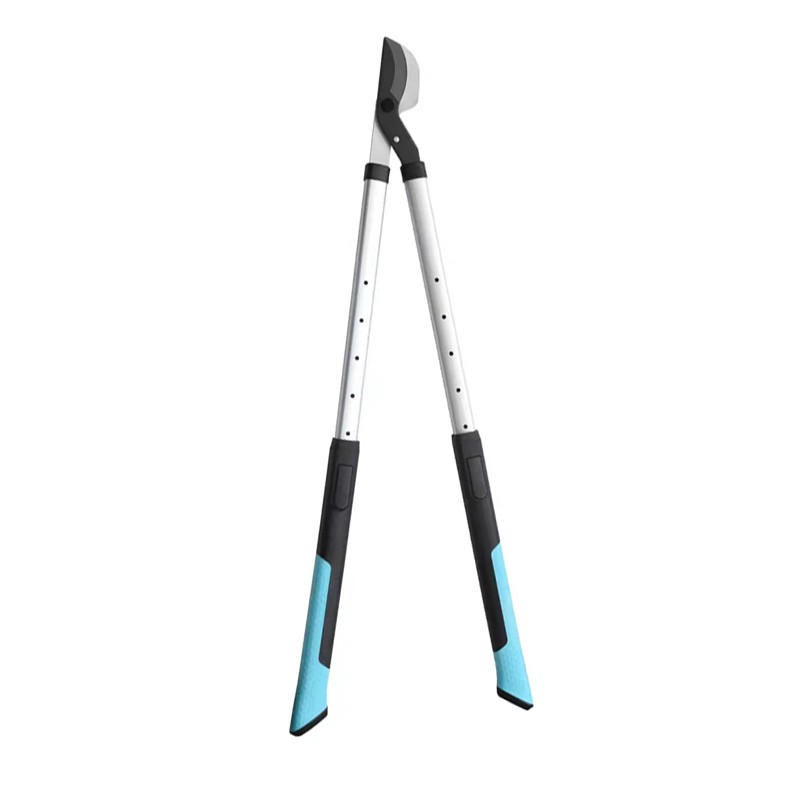 Uzoq tutilgan bo'shliqlar