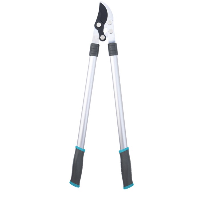 Ratchet bog'i kamerasi