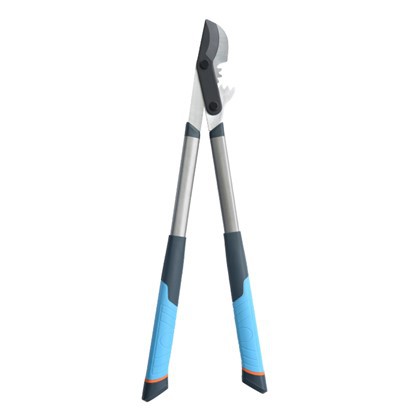 Filiallarni kesish uchun loppers